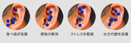 耳リフレクソロジー